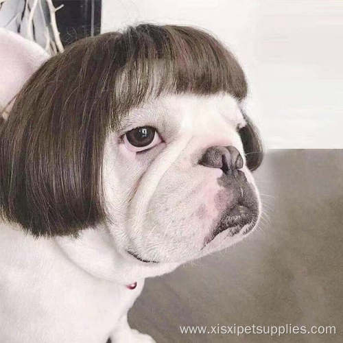 Costume Pet makeup pet dog wig set
